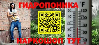 спайс Кулебаки
