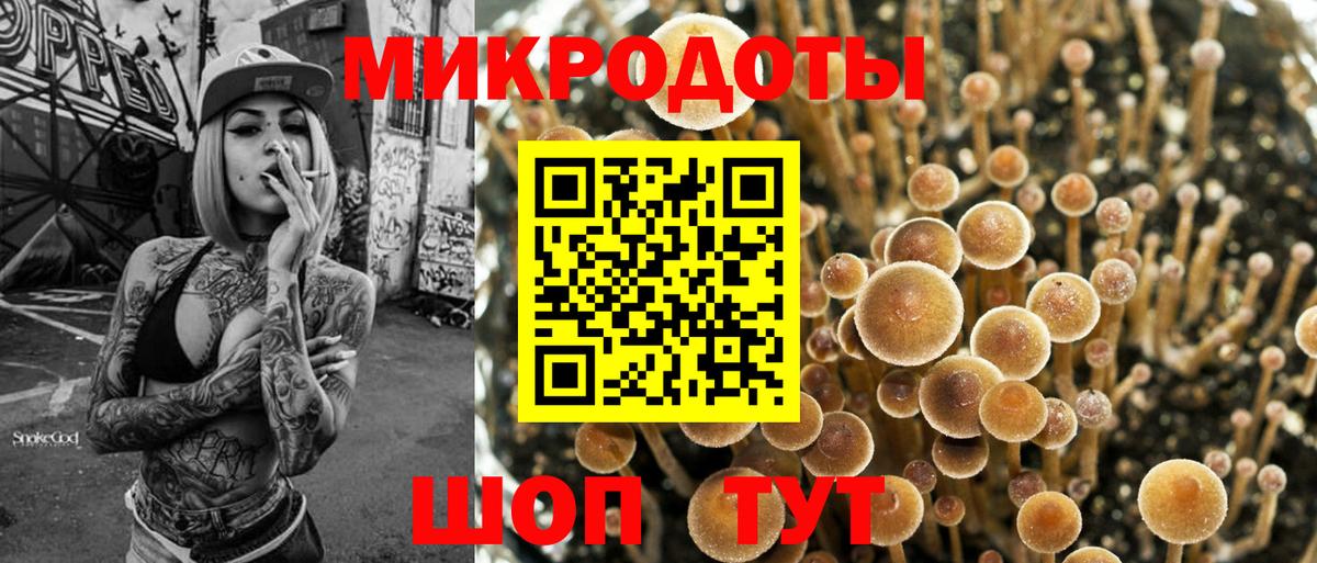 Зеленогорск  Галлюциногенные грибы Psilocybe  Вход с VPN 
