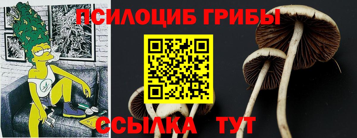 Псилоцибиновые грибы мицелий Зеленогорск